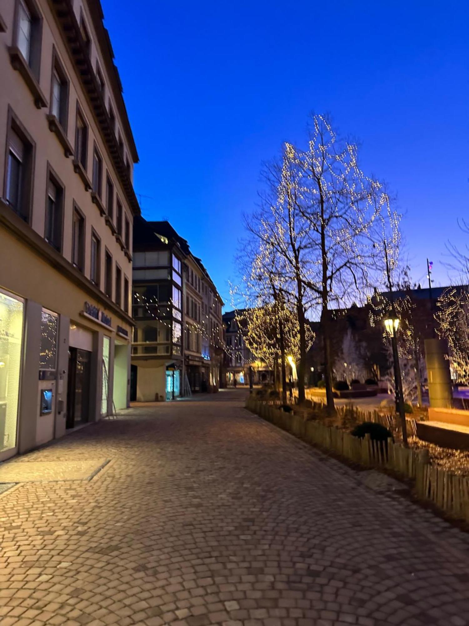 Le Muscat Apartman Colmar Kültér fotó
