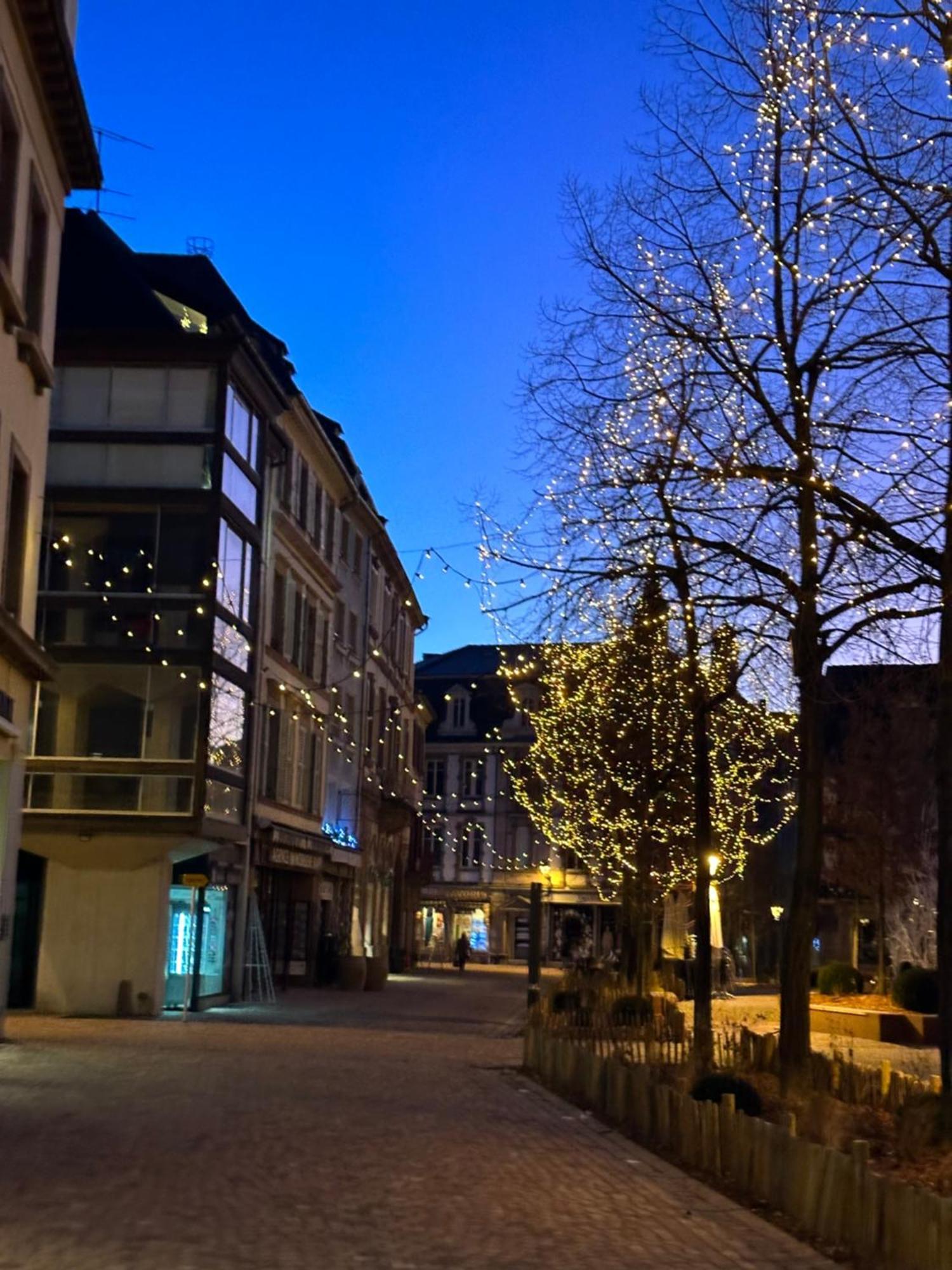 Le Muscat Apartman Colmar Kültér fotó
