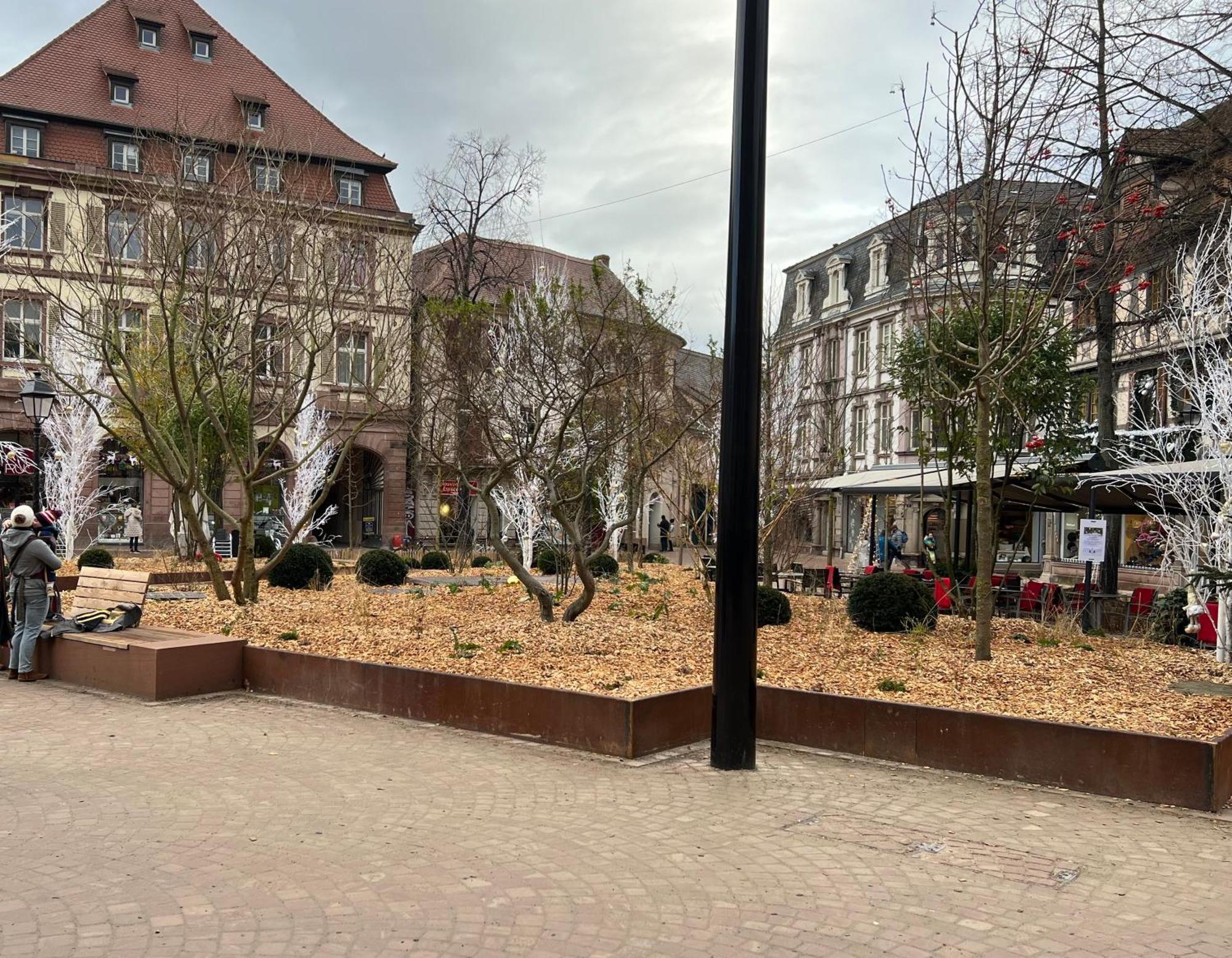 Le Muscat Apartman Colmar Kültér fotó