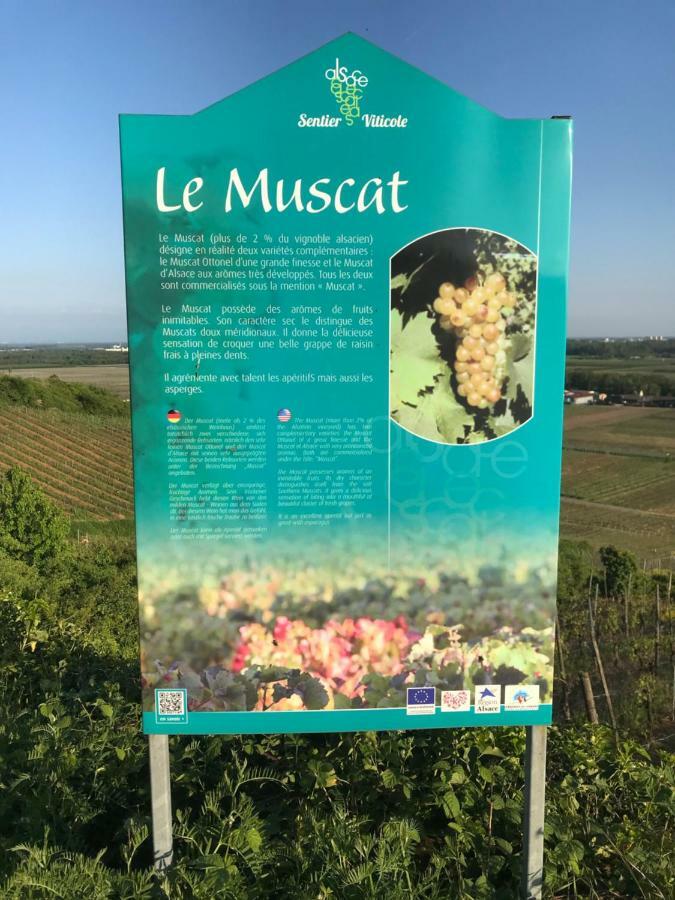 Le Muscat Apartman Colmar Kültér fotó