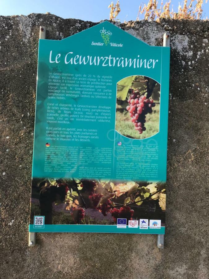 Le Muscat Apartman Colmar Kültér fotó