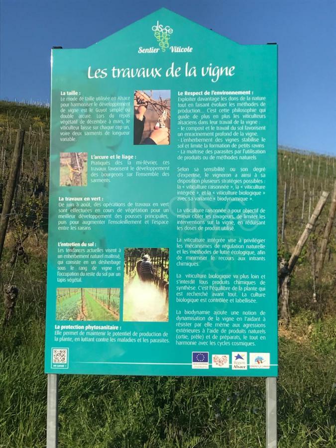 Le Muscat Apartman Colmar Kültér fotó